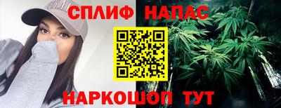 не бодяженный Нальчик