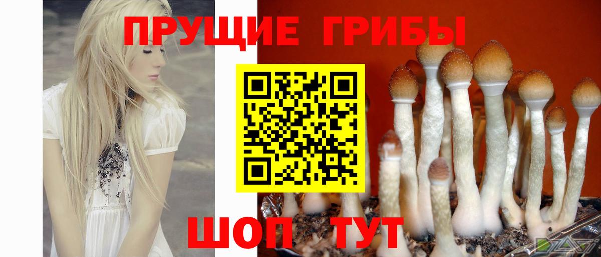 Галлюциногенные грибы Psilocybine cubensis  Галлюциногенные грибы Magic Shrooms  Вход с VPN  Саранск 